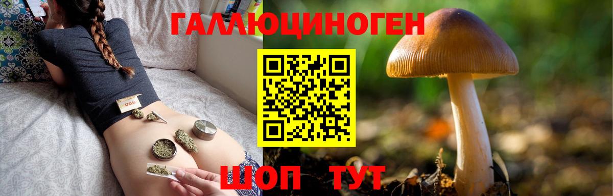 Галлюциногенные грибы Psilocybine cubensis  Вход с VPN  Омск  Галлюциногенные грибы мицелий 
