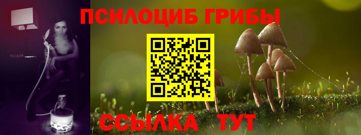 Псилоцибиновые грибы мухоморы Омск