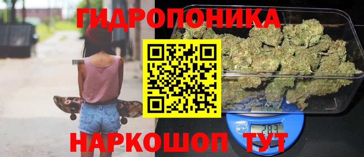 Канабис конопля Омск